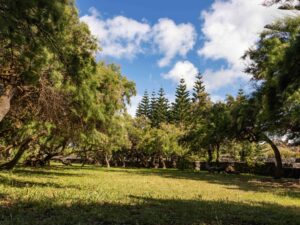 Parque Campismo Santa Cruz Ilha Graciosa